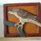 Hawk