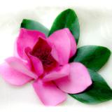  Flower Sculptures
