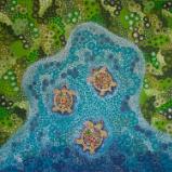 Turtle Island 100x100cm