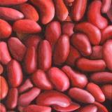 kidney beans