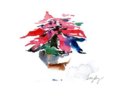 Poinsettia 2