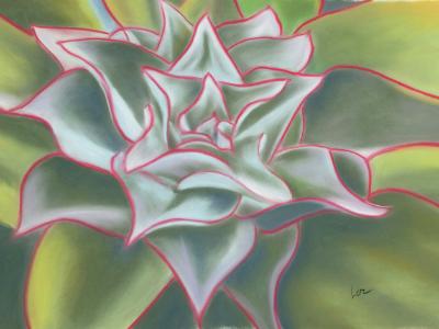 "Fire & Ice" "Fire & Ice"