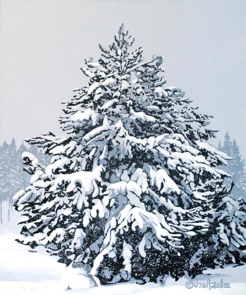 Winter Blanket