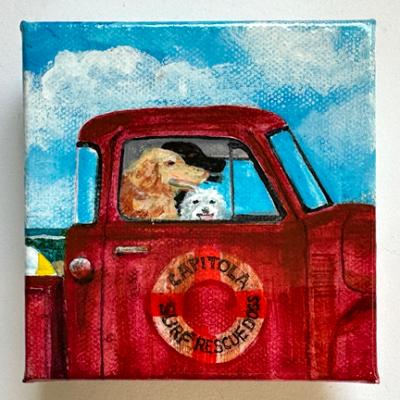 CAPITOLA SURF RESCUE DOGS ON PATROL