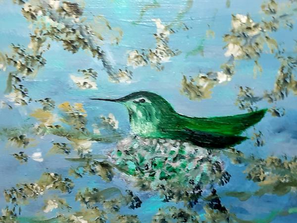 Nesting Hummingbird