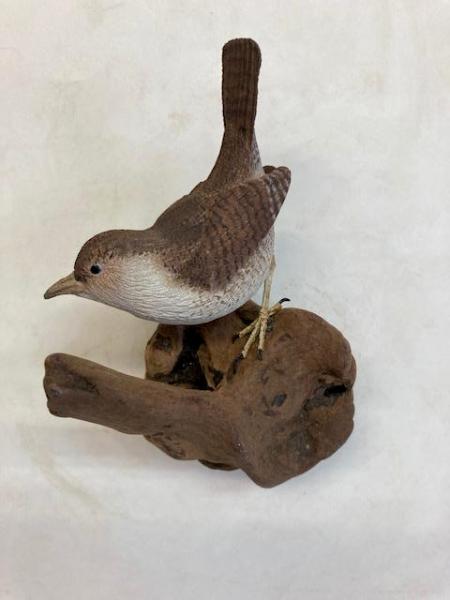 House Wren #28