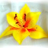 Yellow Tiger Lily Pin