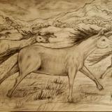 Horse Creations