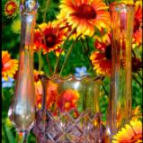 Refracting Garden Flowers