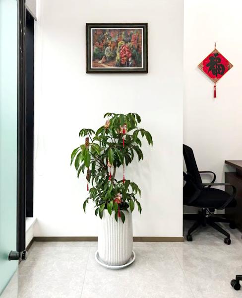 In a Office 