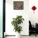 In a Office 