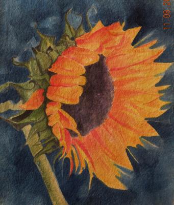 Sunflower (hand-made paper, watercolor)