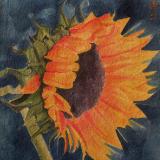 Sunflower (hand-made paper, watercolor)