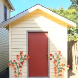 Garden Shed