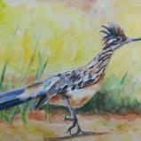 Roadrunner