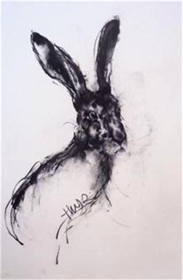Hare (sold)