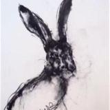 Hare (sold)