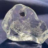 MOONLIT FOREST Paperweight