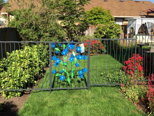 Forget-Me-Not Fence