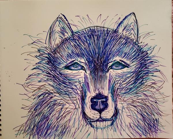 Lobo con Los Ojos de Azul
