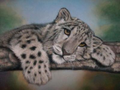 Snow Leopard Kitty