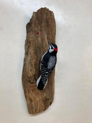 Downy Woodpecker #63