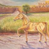 Horse Age History
