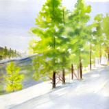 Yellowstone Light - watercolor