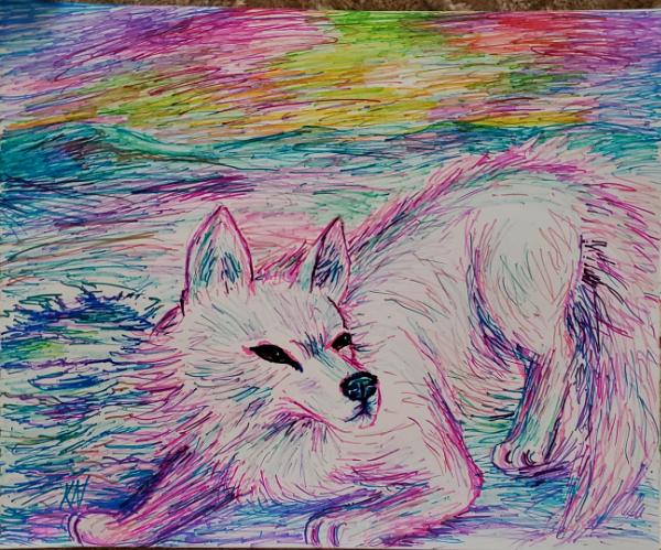The Pink Arctic Fox