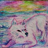 The Pink Arctic Fox