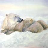 Polar Bears