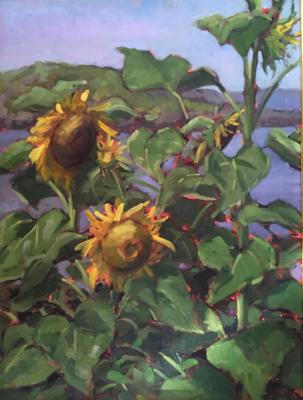 Sunflowers at the Barnacle 18x24" sold Sunflowers at the Barnacle 18x24" sold