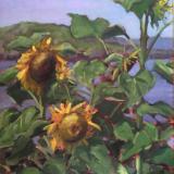  Sunflowers at the Barnacle 18x24" sold