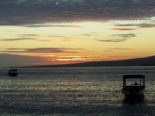 morning has broken