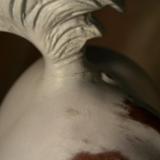 Tail image...