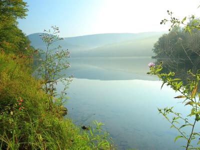 Foggy Lake Spiderweb Foggy Lake Spiderweb