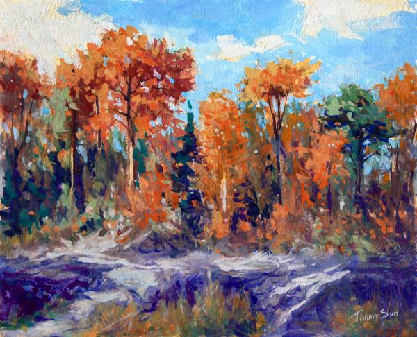 Roadside View of Algonquin Park