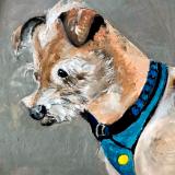 Scruffy Dog II