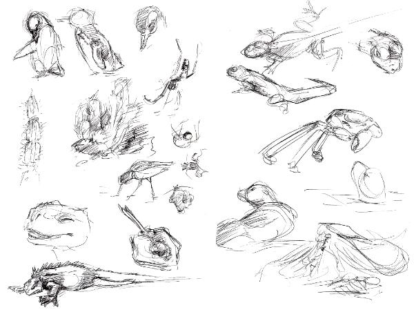 Galapagos sketches 7