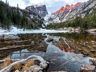 Dream Lake Shallows Driftwood Dream Lake Shallows Driftwood