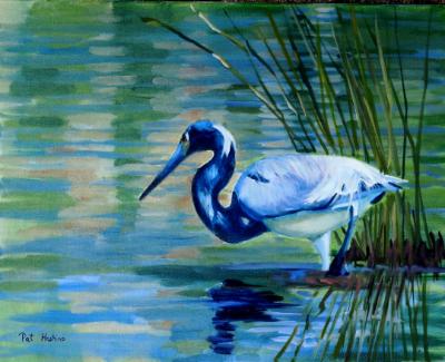 Tri-Colored Heron - oil - 16x20 - sold Tri-Colored Heron - oil - 16x20 - sold