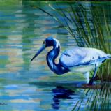 Tri-Colored Heron - oil - 16x20 - sold