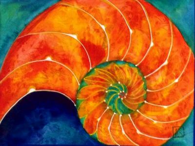 nautilus