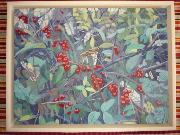 Hedgerow with black bryony berries