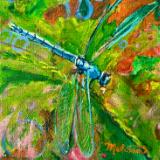 Dragonfly in Green