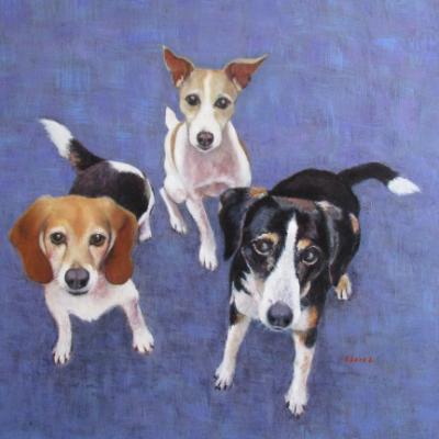Wilma, Sunscape and Misty Wilma, Sunscape and Misty