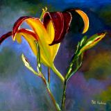 Yellow & Crimson Lily