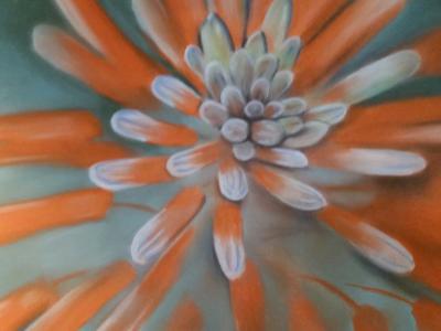 "Orange Flower" "Orange Flower"