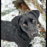 Smell the Snow