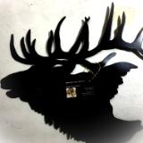 Elk profile